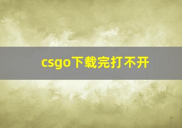 csgo下载完打不开