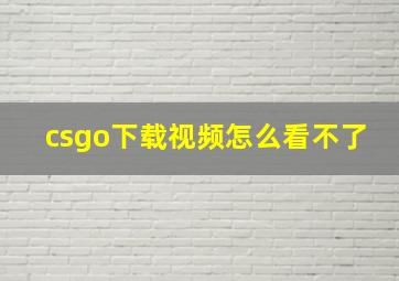 csgo下载视频怎么看不了