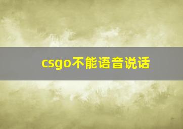 csgo不能语音说话