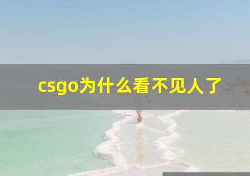 csgo为什么看不见人了