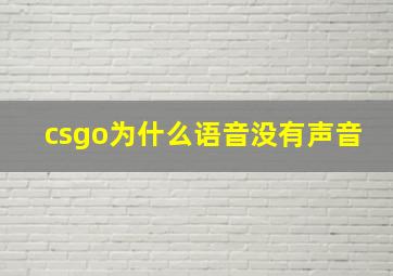 csgo为什么语音没有声音