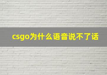 csgo为什么语音说不了话