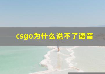 csgo为什么说不了语音