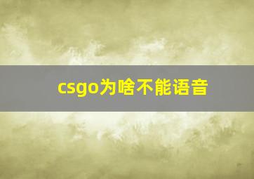 csgo为啥不能语音