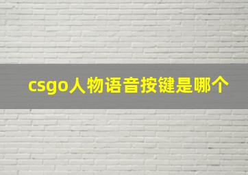 csgo人物语音按键是哪个