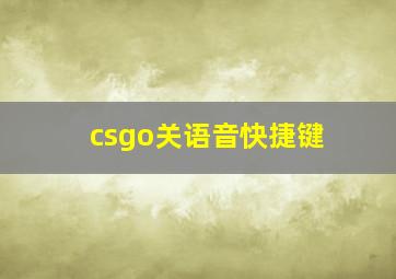 csgo关语音快捷键