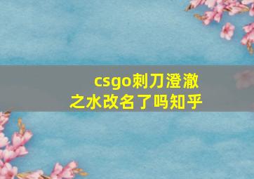 csgo刺刀澄澈之水改名了吗知乎