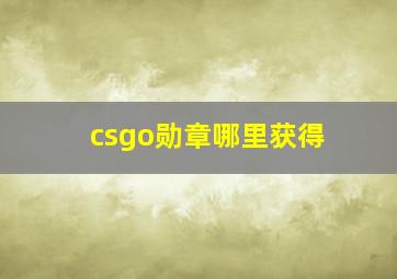 csgo勋章哪里获得