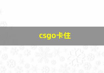 csgo卡住