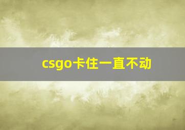 csgo卡住一直不动