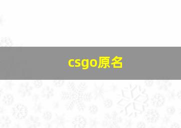 csgo原名