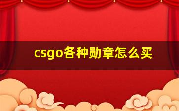 csgo各种勋章怎么买