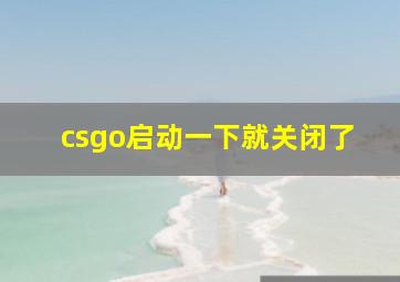 csgo启动一下就关闭了