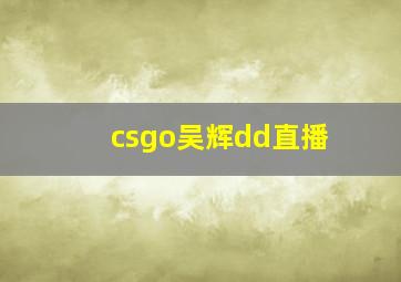 csgo吴辉dd直播