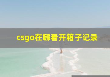 csgo在哪看开箱子记录