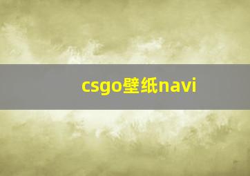 csgo壁纸navi