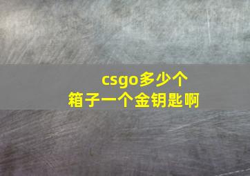 csgo多少个箱子一个金钥匙啊