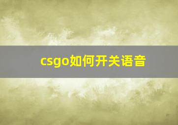 csgo如何开关语音