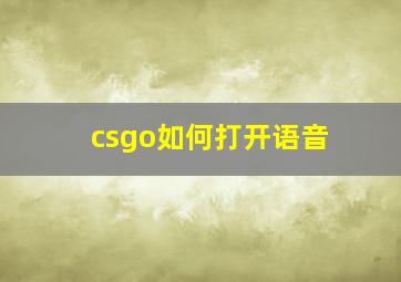 csgo如何打开语音