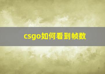 csgo如何看到帧数