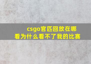 csgo官匹回放在哪看为什么看不了我的比赛