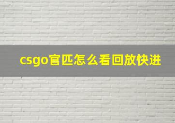 csgo官匹怎么看回放快进