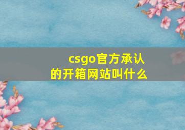 csgo官方承认的开箱网站叫什么