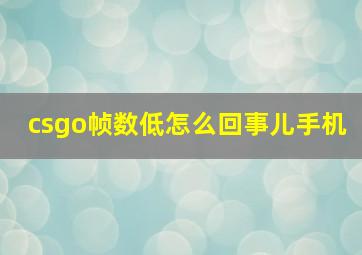 csgo帧数低怎么回事儿手机