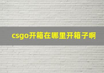 csgo开箱在哪里开箱子啊