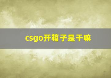 csgo开箱子是干嘛