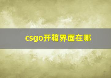 csgo开箱界面在哪