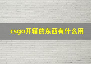 csgo开箱的东西有什么用