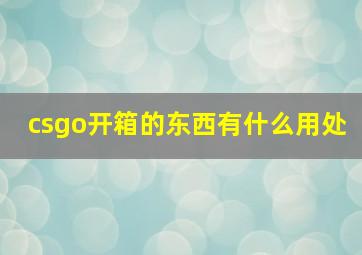 csgo开箱的东西有什么用处