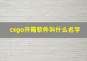 csgo开箱软件叫什么名字