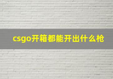 csgo开箱都能开出什么枪