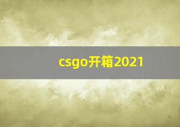 csgo开箱2021