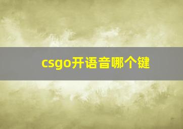 csgo开语音哪个键