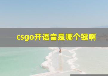 csgo开语音是哪个键啊