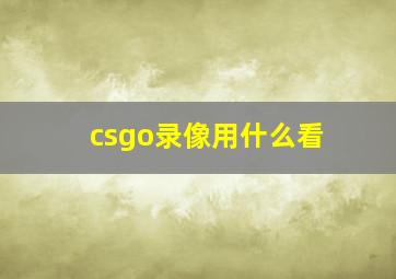 csgo录像用什么看