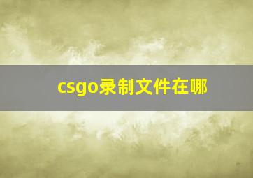 csgo录制文件在哪