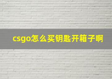 csgo怎么买钥匙开箱子啊