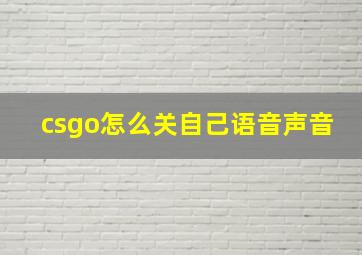 csgo怎么关自己语音声音