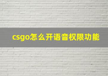 csgo怎么开语音权限功能