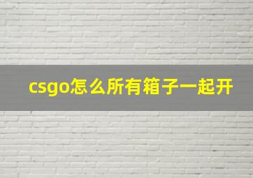 csgo怎么所有箱子一起开