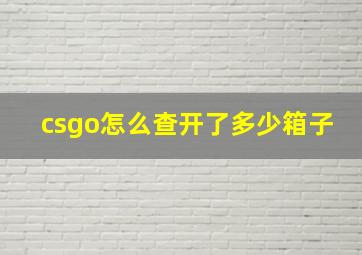 csgo怎么查开了多少箱子