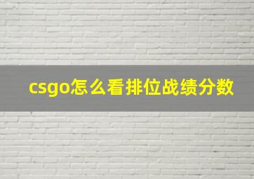 csgo怎么看排位战绩分数