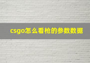 csgo怎么看枪的参数数据