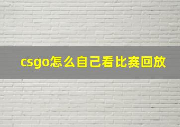 csgo怎么自己看比赛回放