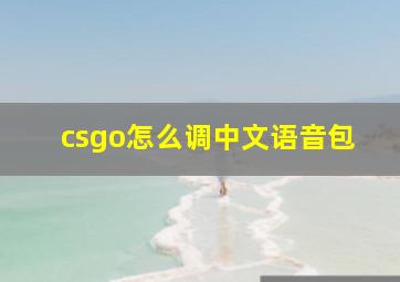 csgo怎么调中文语音包