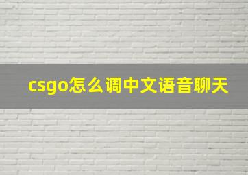 csgo怎么调中文语音聊天